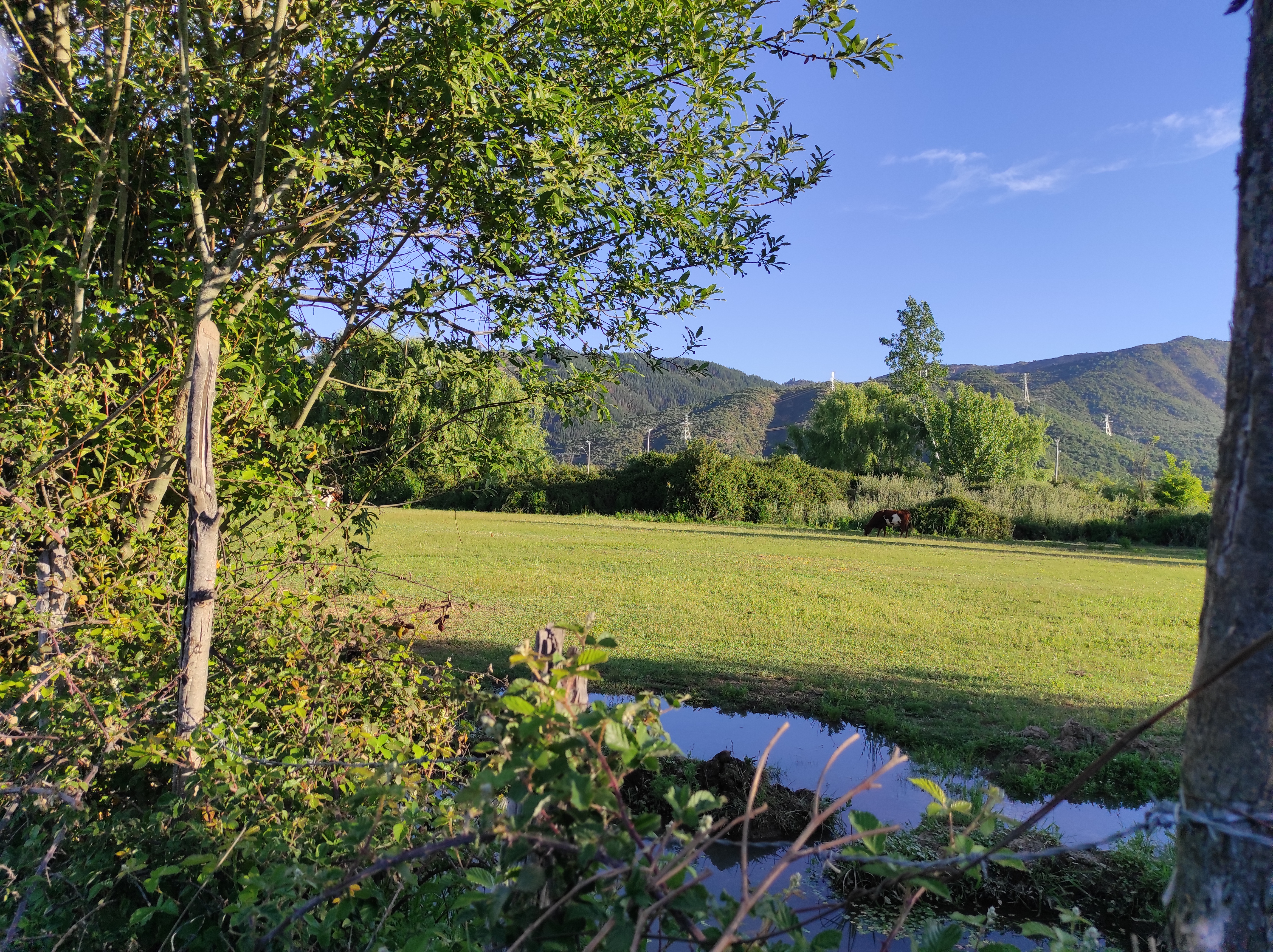 property_gallery_img_2281