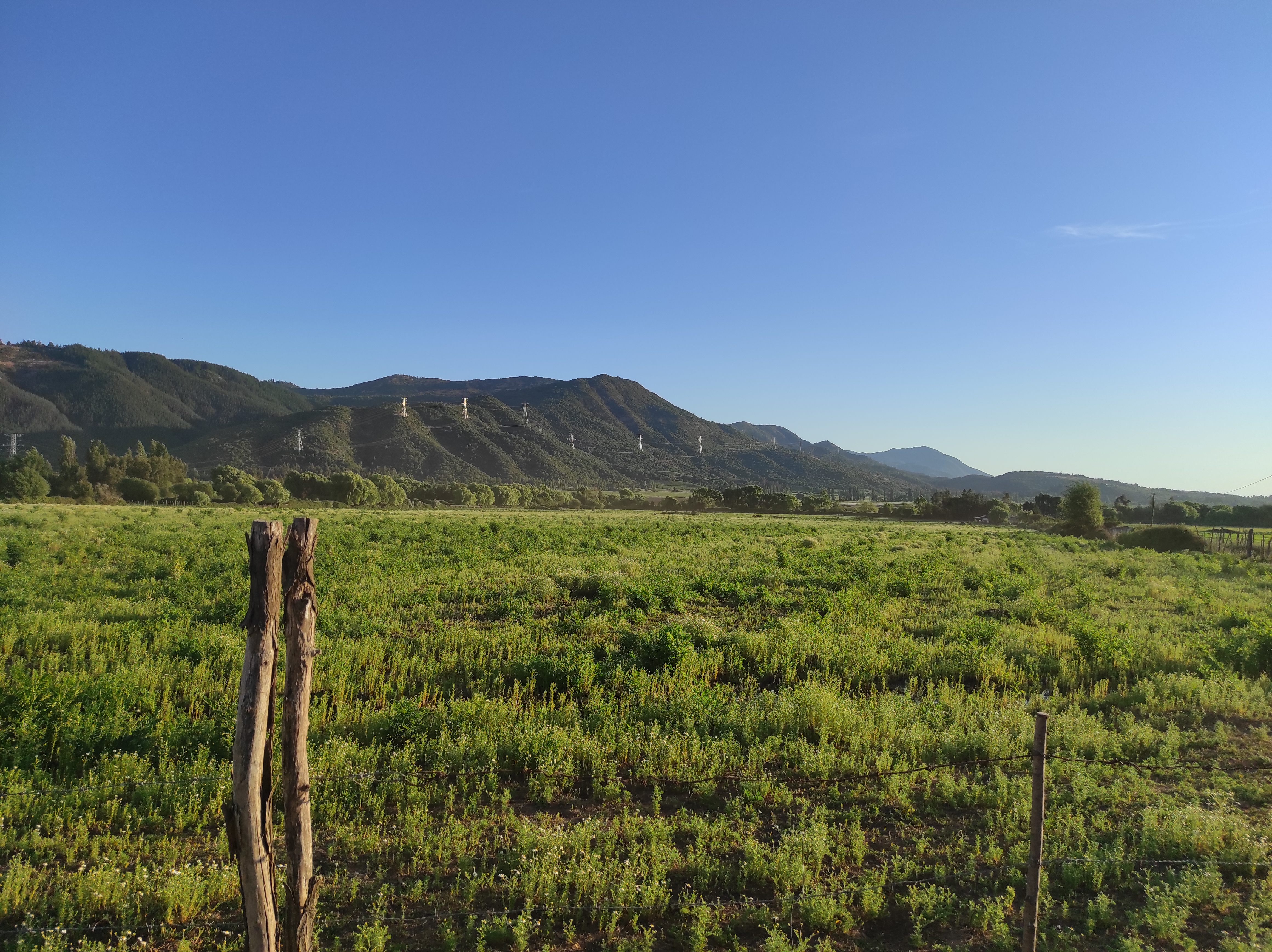 property_gallery_img_2282