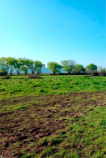 property_gallery_img_2192