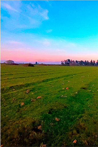 property_gallery_img_2191