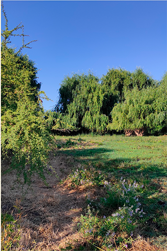 property_gallery_img_2190